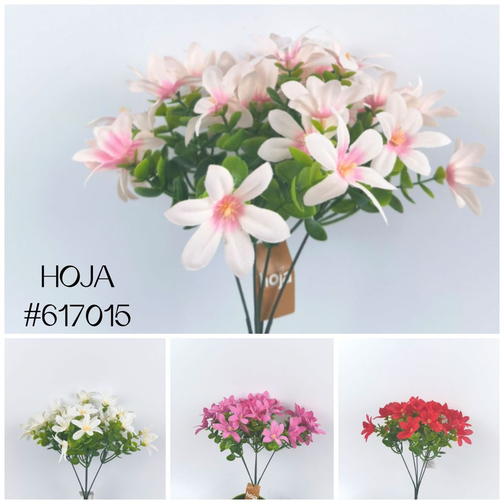 2281#五头水草兰花
